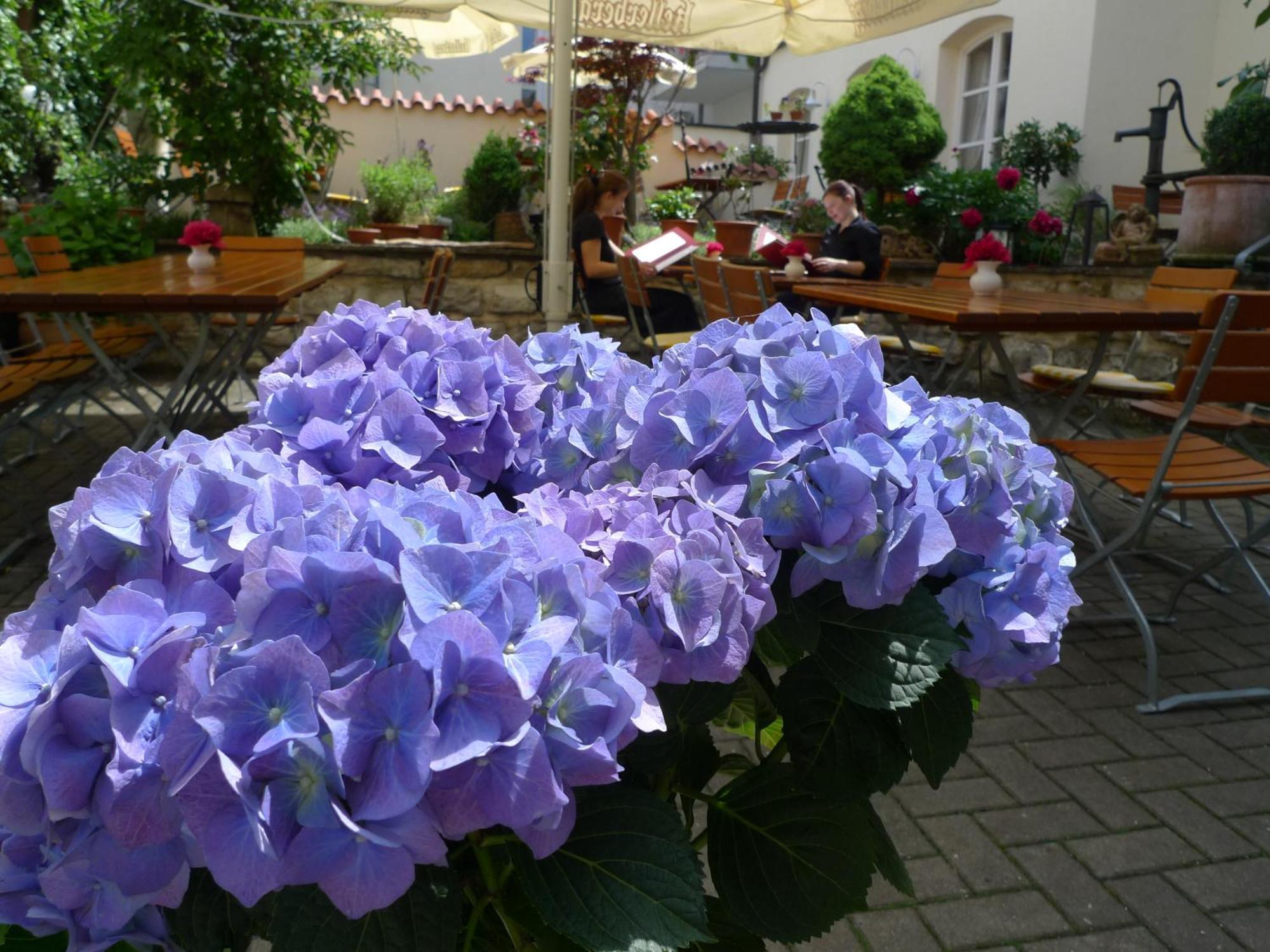 Hotel-Restaurant Roter Ochsen Lauchheim Exteriér fotografie